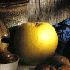 Golden Delicious Apple