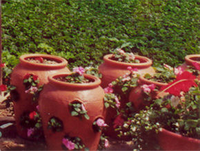 Patio pots