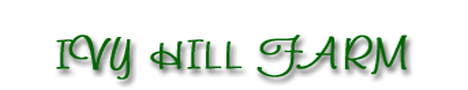 Ivy Hill Farm