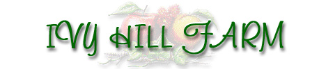 Ivy Hill Farm